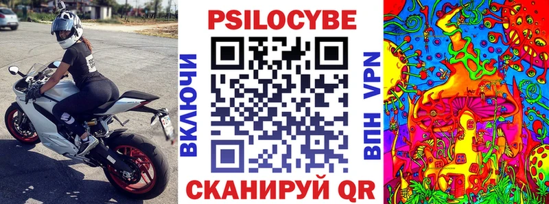 Купить  Ковров  Галлюциногенные грибы MAGIC MUSHROOMS 